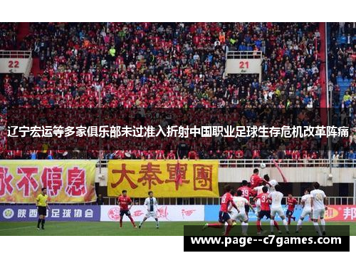 辽宁宏运等多家俱乐部未过准入折射中国职业足球生存危机改革阵痛 辽宁宏运等多家俱乐部未过准入折射中国职业足球生存危机改革阵痛