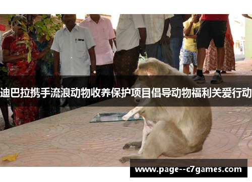 迪巴拉携手流浪动物收养保护项目倡导动物福利关爱行动